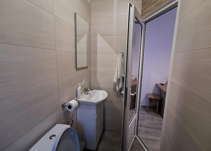 Pensión Zapp House Costinesti