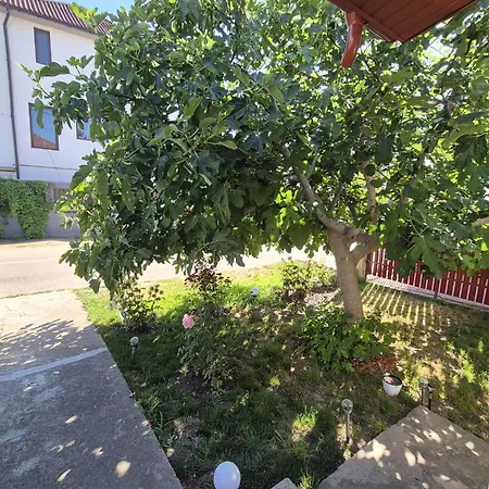 Zapp House 3* Costinesti